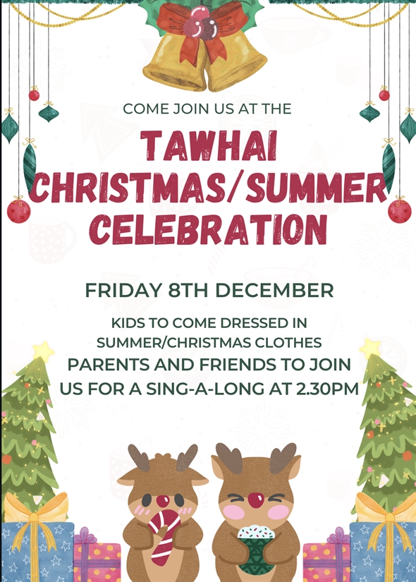 Tawhai Christmas/Summer Celebration